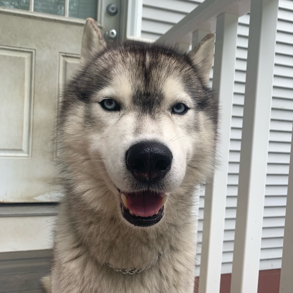 Meet your Posher, Madelaine